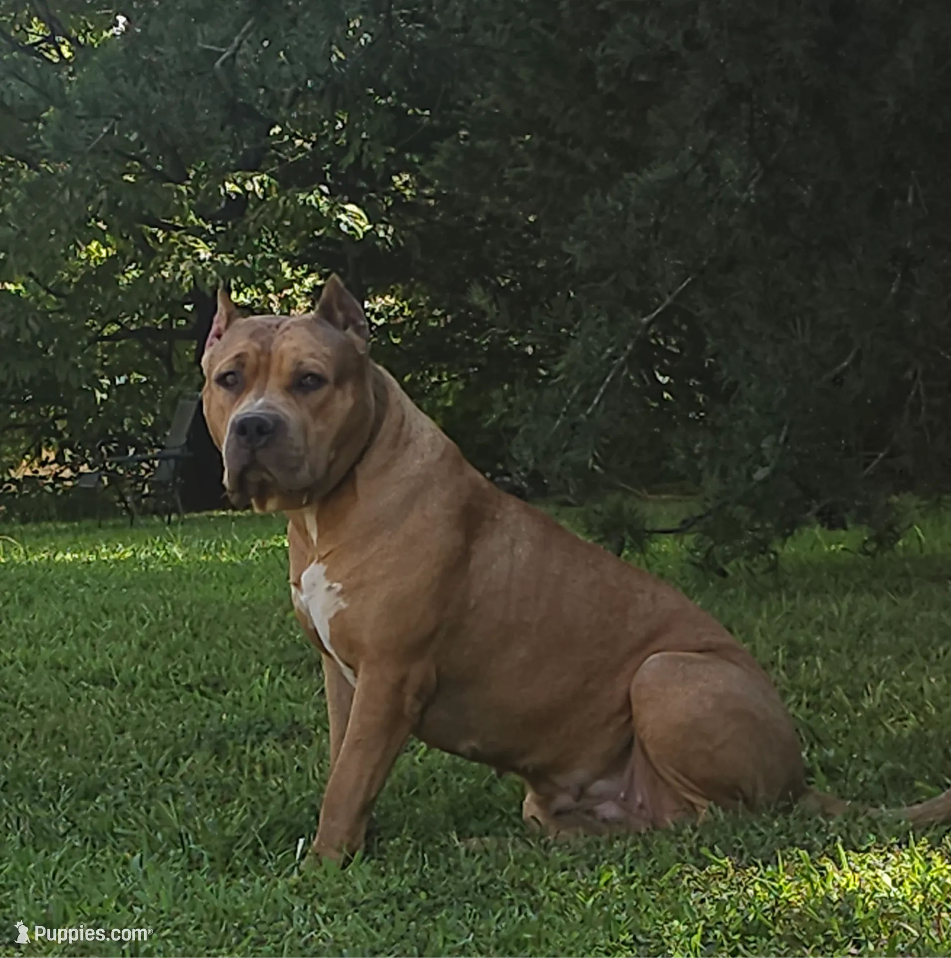 processed/e55daac7-8fd1-492b-806d-fd65c3f53004/listing/52488fd8-06ff-48d7-b1e0-7f0331a9f5ea/72b27047-9030-4bcf-98b4-dc5d34cab692