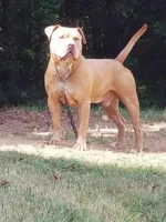 processed/e55daac7-8fd1-492b-806d-fd65c3f53004/listing/52488fd8-06ff-48d7-b1e0-7f0331a9f5ea/c08b3e1d-1878-407e-9460-bf98bd07a3cd