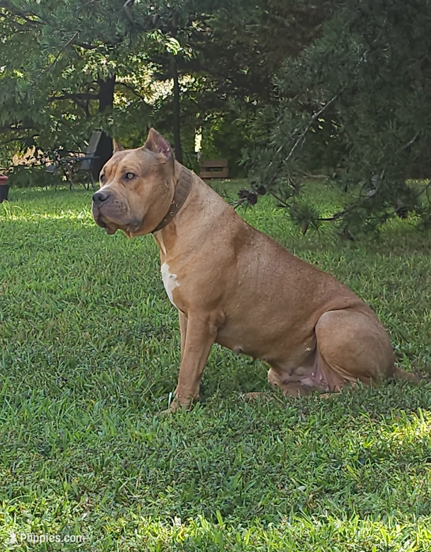 processed/e55daac7-8fd1-492b-806d-fd65c3f53004/listing/52488fd8-06ff-48d7-b1e0-7f0331a9f5ea/f32febf6-03b2-4956-b3c6-b4f906579dcc