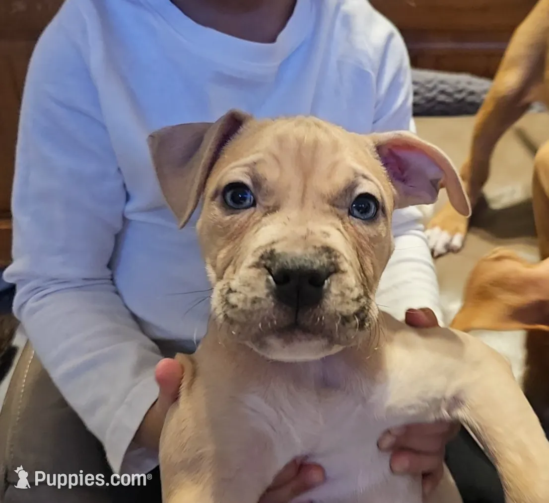 processed/e55daac7-8fd1-492b-806d-fd65c3f53004/listing/9f93cfa0-a273-4d90-9902-b5915879a5be/7adae15d-29f0-4aba-851f-e932cbed9e4f