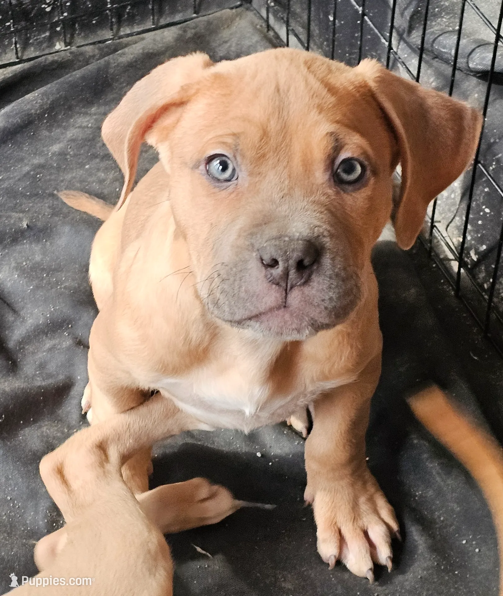 processed/e55daac7-8fd1-492b-806d-fd65c3f53004/listing/caaf5272-c972-44c4-a840-995853927eb4/07e502db-5a79-4708-a538-a545678f7ce5