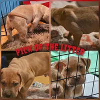 processed/e55daac7-8fd1-492b-806d-fd65c3f53004/listing/caaf5272-c972-44c4-a840-995853927eb4/f5f23002-cfe4-4599-8a34-d296502d3c0c