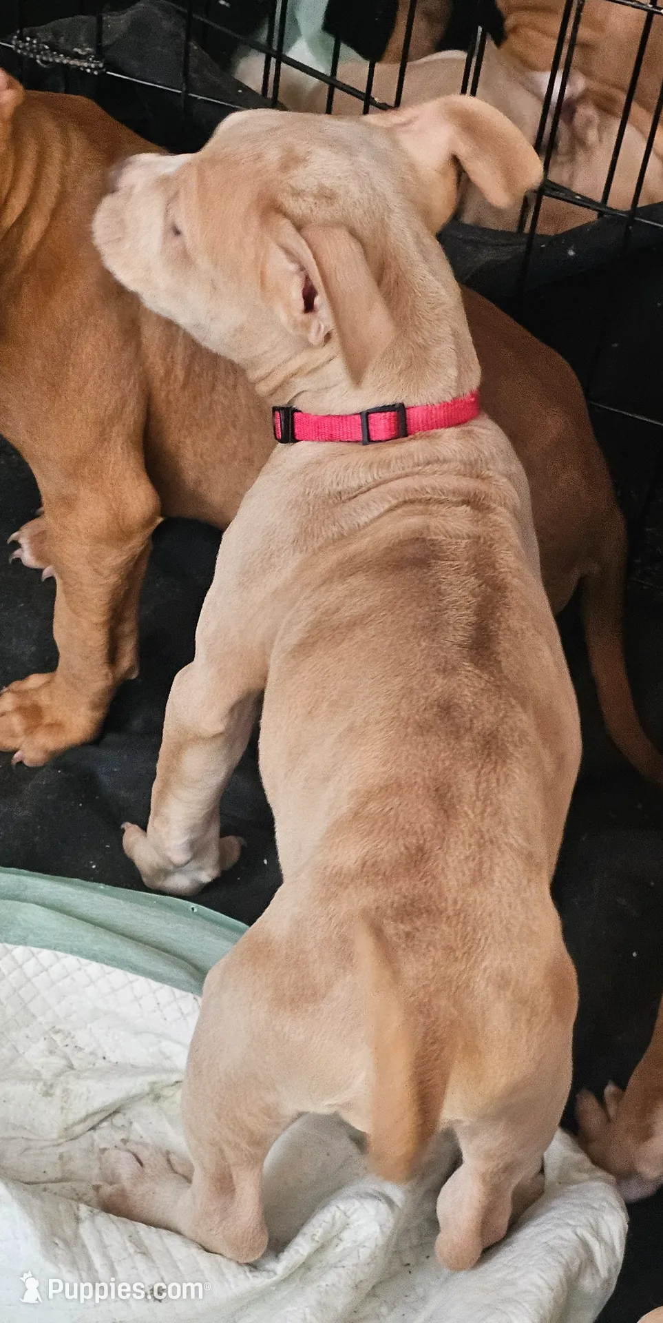 processed/e55daac7-8fd1-492b-806d-fd65c3f53004/listing/ce7ae599-b60c-4e29-a417-51306694da6f/13bc1b7f-76e3-45fe-bca3-2929353170f8