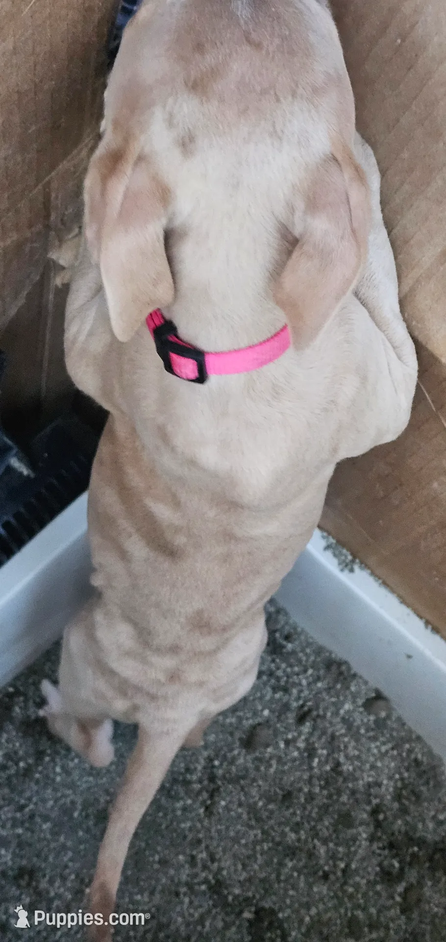 processed/e55daac7-8fd1-492b-806d-fd65c3f53004/listing/ce7ae599-b60c-4e29-a417-51306694da6f/58da2ea5-7593-4485-a47f-9a43c9e02bba