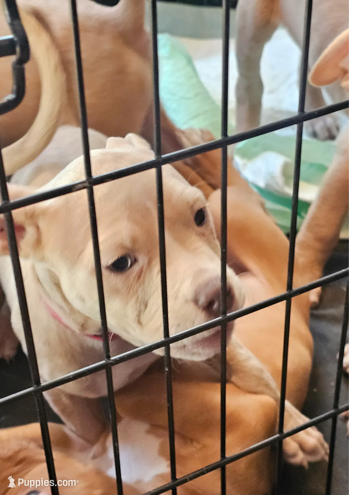 processed/e55daac7-8fd1-492b-806d-fd65c3f53004/listing/ce7ae599-b60c-4e29-a417-51306694da6f/95cfc83a-40b6-445c-810f-e3c827e82469