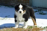 processed/e55f8f92-21db-4be5-9488-9faf7a0fc050/facility/0f3fb2d3-be28-4edc-85ac-60cd472ebb27