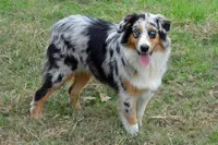 processed/e55f8f92-21db-4be5-9488-9faf7a0fc050/facility/aa0383c9-db90-4b41-b128-7c926ee5e6ab