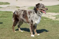 processed/e55f8f92-21db-4be5-9488-9faf7a0fc050/facility/af701761-a7d4-46ad-87dd-e81f7f27f0bd