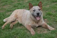 processed/e55f8f92-21db-4be5-9488-9faf7a0fc050/facility/b5b511ec-6280-4788-81de-21a02ecfae42