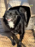 processed/e55f8f92-21db-4be5-9488-9faf7a0fc050/facility/eba998cd-d078-4e0b-b3b8-91d52308ec2b