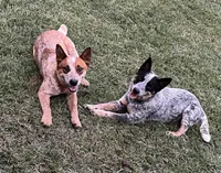 processed/e55f8f92-21db-4be5-9488-9faf7a0fc050/facility/f0dd2d63-c914-4184-82bc-d8683f23f459