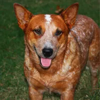 processed/e55f8f92-21db-4be5-9488-9faf7a0fc050/facility/f15c588b-c19d-4da7-9d23-650d716ba8cd