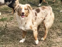 processed/e55f8f92-21db-4be5-9488-9faf7a0fc050/facility/f30228b2-4bac-454b-a698-f6e403c62907