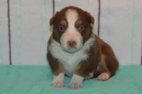 processed/e55f8f92-21db-4be5-9488-9faf7a0fc050/listing/4d438f6b-dfdf-4bf6-879c-5762e27a9272/39625c79-9529-4887-9d32-350eba5ff5a9