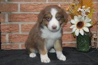 processed/e55f8f92-21db-4be5-9488-9faf7a0fc050/listing/4d438f6b-dfdf-4bf6-879c-5762e27a9272/45aa31ec-2b04-4cda-99b2-6c4d3054b185