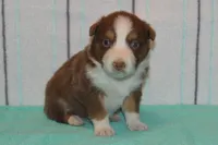 processed/e55f8f92-21db-4be5-9488-9faf7a0fc050/listing/4d438f6b-dfdf-4bf6-879c-5762e27a9272/747f8e17-17f3-4376-8dcb-de2c23f8e614