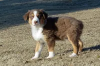 processed/e55f8f92-21db-4be5-9488-9faf7a0fc050/listing/4d438f6b-dfdf-4bf6-879c-5762e27a9272/804e5ca4-3db0-4f82-b738-34aa0468c494