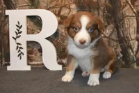 processed/e55f8f92-21db-4be5-9488-9faf7a0fc050/listing/4d438f6b-dfdf-4bf6-879c-5762e27a9272/ab97a385-3c23-4638-92f1-6a45f245a010