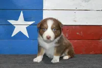 processed/e55f8f92-21db-4be5-9488-9faf7a0fc050/listing/4d438f6b-dfdf-4bf6-879c-5762e27a9272/da2eecc7-45dd-4245-bb36-54ebca7b126c