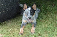 processed/e55f8f92-21db-4be5-9488-9faf7a0fc050/listing/705c5ffa-1230-4efa-b7e6-137a3c3b2e7f/41a28370-39b4-45af-9694-5fd7c9ddec87