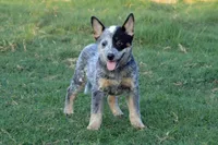 processed/e55f8f92-21db-4be5-9488-9faf7a0fc050/listing/705c5ffa-1230-4efa-b7e6-137a3c3b2e7f/75f6372c-ef49-4f95-a289-4c9d1d07d301