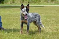 processed/e55f8f92-21db-4be5-9488-9faf7a0fc050/listing/705c5ffa-1230-4efa-b7e6-137a3c3b2e7f/93f38ce6-9fc0-48d3-be1e-75378685673f