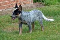 processed/e55f8f92-21db-4be5-9488-9faf7a0fc050/listing/705c5ffa-1230-4efa-b7e6-137a3c3b2e7f/b01f5e87-eab4-4e9e-beb8-a9e8c89346f2