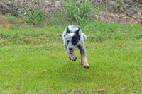 processed/e55f8f92-21db-4be5-9488-9faf7a0fc050/listing/705c5ffa-1230-4efa-b7e6-137a3c3b2e7f/b602f52e-2193-4068-bdae-c7a858496246