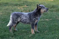 processed/e55f8f92-21db-4be5-9488-9faf7a0fc050/listing/705c5ffa-1230-4efa-b7e6-137a3c3b2e7f/dbc57f6d-d7d2-4b4e-b2f6-2d2b1c893eed