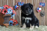 processed/e55f8f92-21db-4be5-9488-9faf7a0fc050/listing/7ab04ad2-c921-4296-926d-fb45d1862542/036ff82d-ea90-4af8-8693-0096d37dd581