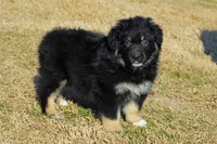 processed/e55f8f92-21db-4be5-9488-9faf7a0fc050/listing/7ab04ad2-c921-4296-926d-fb45d1862542/0412f7c0-548e-4347-b856-dffa19a0b09a