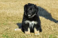 processed/e55f8f92-21db-4be5-9488-9faf7a0fc050/listing/7ab04ad2-c921-4296-926d-fb45d1862542/1a341132-7df8-4af7-9e77-6df7b8f1cc07