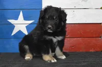 processed/e55f8f92-21db-4be5-9488-9faf7a0fc050/listing/7ab04ad2-c921-4296-926d-fb45d1862542/3e96f101-f719-4933-93f5-7341c3160076