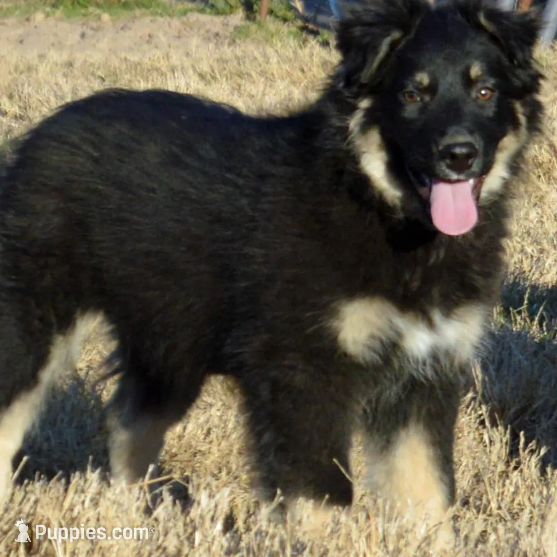 processed/e55f8f92-21db-4be5-9488-9faf7a0fc050/listing/7ab04ad2-c921-4296-926d-fb45d1862542/43051e0e-92e6-4292-b34f-c8beb2accd83