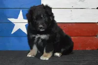 processed/e55f8f92-21db-4be5-9488-9faf7a0fc050/listing/7ab04ad2-c921-4296-926d-fb45d1862542/a3be0792-4ca7-40a1-8cde-dd891b45c10a