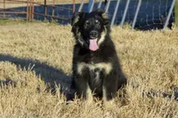 processed/e55f8f92-21db-4be5-9488-9faf7a0fc050/listing/7ab04ad2-c921-4296-926d-fb45d1862542/f68d231b-7759-47dc-8cc7-6706da2e7e0e