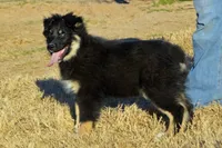 processed/e55f8f92-21db-4be5-9488-9faf7a0fc050/listing/7ab04ad2-c921-4296-926d-fb45d1862542/f8ad79d6-7916-4ea3-bf97-625590362afb