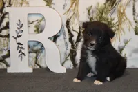 processed/e55f8f92-21db-4be5-9488-9faf7a0fc050/listing/f590b41b-72de-4c75-91ca-be370d8e6e91/7a9e69a3-bb9b-4e80-919f-a8413329a63b