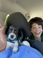 processed/e560db90-7c01-42dc-8ca5-b4019755826d/facility/6c361008-50f2-4ad8-a1b6-6cf0d0e50040