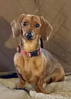 processed/e560db90-7c01-42dc-8ca5-b4019755826d/facility/7054f838-2450-4f47-b345-41b2d3fa38a0