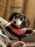 processed/e560db90-7c01-42dc-8ca5-b4019755826d/facility/949574c9-d47f-4f02-8a4f-0d424bfe466e