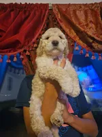 processed/e5614e75-3f8c-4d86-a0eb-d091b2f70b32/listing/32d34f84-9428-46a2-b0ac-7b6ea591e31a/81e7968c-037c-4614-9f0d-0ebae3bb59fe