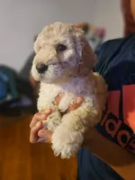 processed/e5614e75-3f8c-4d86-a0eb-d091b2f70b32/listing/32d34f84-9428-46a2-b0ac-7b6ea591e31a/93fd544a-2ad7-4867-9b40-77c4487d1f07