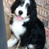 processed/e5678342-332e-4e6f-8dcb-8b86456b0e57/facility/337a25e9-404a-49dd-9f8b-b1057871dca9