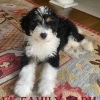 processed/e5678342-332e-4e6f-8dcb-8b86456b0e57/facility/3c543d0b-a09a-40a6-a183-ec305ce18869