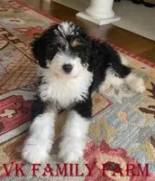 processed/e5678342-332e-4e6f-8dcb-8b86456b0e57/facility/3c543d0b-a09a-40a6-a183-ec305ce18869