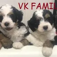 processed/e5678342-332e-4e6f-8dcb-8b86456b0e57/facility/65c22b63-206c-4044-a98b-664eeeea2b1a