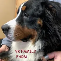 processed/e5678342-332e-4e6f-8dcb-8b86456b0e57/facility/938a96c9-6231-43ca-b1a9-b8ada2917635