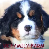 processed/e5678342-332e-4e6f-8dcb-8b86456b0e57/facility/ffac7202-8cd6-4367-9cb0-5573397f6cdc