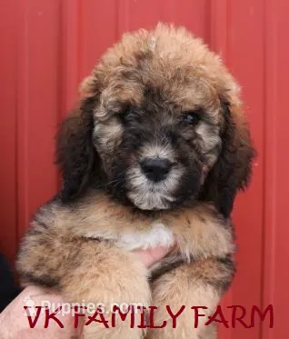 processed/e5678342-332e-4e6f-8dcb-8b86456b0e57/listing/be4b2082-20d6-4536-83e5-83bd273947fe/71199be2-2362-4413-91bc-bf3085bff303